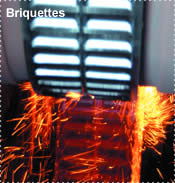 Venprecar Briquettes